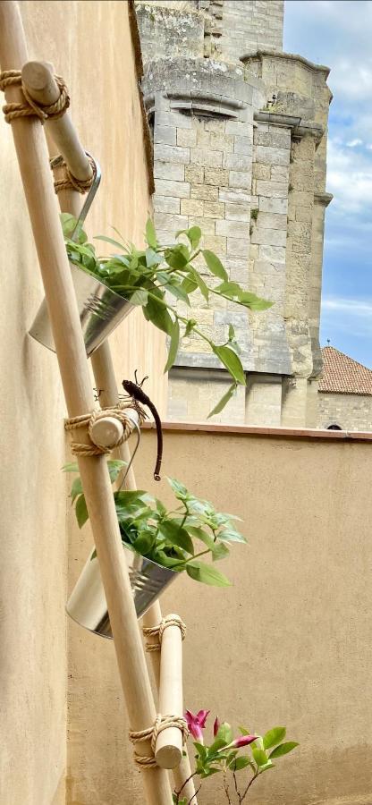 Tresors De La Cathedrale, Maison De Ville Sur 4 Niveaux Narbonne Exterior foto