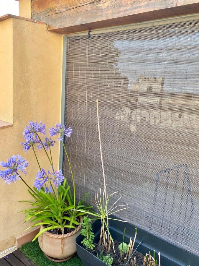 Tresors De La Cathedrale, Maison De Ville Sur 4 Niveaux Narbonne Exterior foto